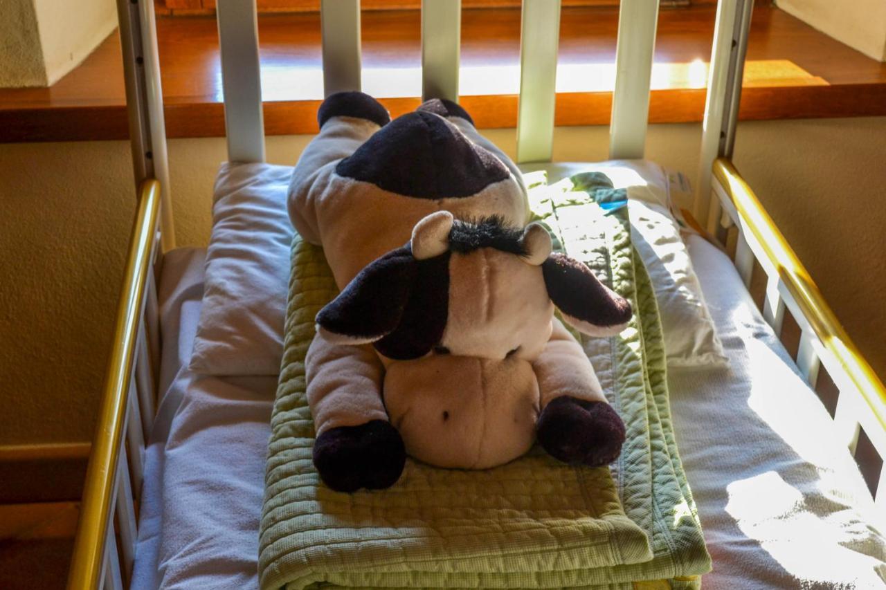 Serramazzoni Antiche Vie B&B מראה חיצוני תמונה